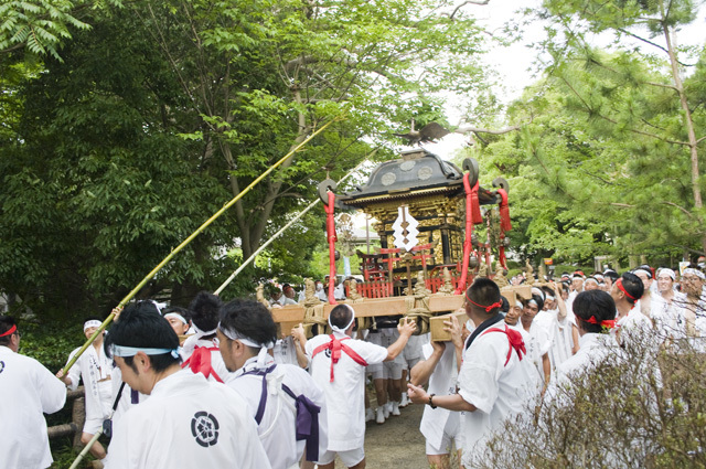 愛知県西尾市の西尾祇園祭昼の神輿