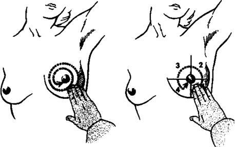 Technique-of-breast-examination.jpg